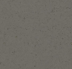 Кварцвиниловые полы Forbo Allura Colour/Colour Plus C68015-651015 dark lead фото 1 | FLOORDEALER